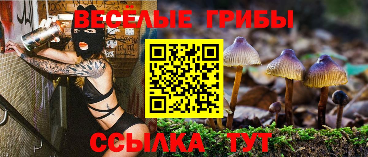 Псилоцибиновые грибы Cubensis  Вход с VPN  Вологда 